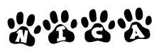 The image shows a series of animal paw prints arranged in a horizontal line. Each paw print contains a letter, and together they spell out the word Nica.