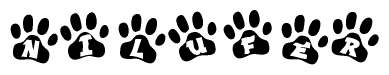The image shows a row of animal paw prints, each containing a letter. The letters spell out the word Nilufer within the paw prints.
