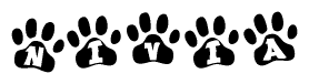 The image shows a row of animal paw prints, each containing a letter. The letters spell out the word Nivia within the paw prints.