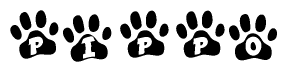 The image shows a row of animal paw prints, each containing a letter. The letters spell out the word Pippo within the paw prints.