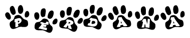 The image shows a series of animal paw prints arranged in a horizontal line. Each paw print contains a letter, and together they spell out the word Perdana.