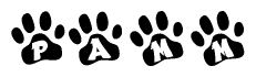 The image shows a series of animal paw prints arranged in a horizontal line. Each paw print contains a letter, and together they spell out the word Pamm.