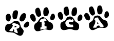 The image shows a row of animal paw prints, each containing a letter. The letters spell out the word Rica within the paw prints.