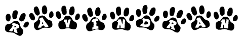 The image shows a series of animal paw prints arranged in a horizontal line. Each paw print contains a letter, and together they spell out the word Ravindran.