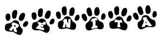 The image shows a row of animal paw prints, each containing a letter. The letters spell out the word Renita within the paw prints.