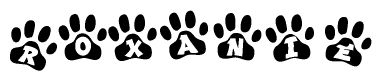 The image shows a row of animal paw prints, each containing a letter. The letters spell out the word Roxanie within the paw prints.