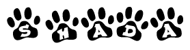 The image shows a row of animal paw prints, each containing a letter. The letters spell out the word Shada within the paw prints.
