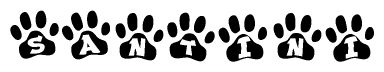 The image shows a series of animal paw prints arranged in a horizontal line. Each paw print contains a letter, and together they spell out the word Santini.