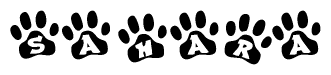 The image shows a series of animal paw prints arranged horizontally. Within each paw print, there's a letter; together they spell Sahara