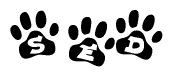 The image shows a series of animal paw prints arranged horizontally. Within each paw print, there's a letter; together they spell Sed