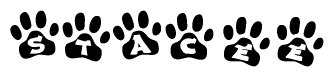 The image shows a series of animal paw prints arranged horizontally. Within each paw print, there's a letter; together they spell Stacee