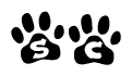 The image shows a row of animal paw prints, each containing a letter. The letters spell out the word Sc within the paw prints.