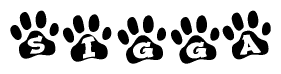 The image shows a series of animal paw prints arranged horizontally. Within each paw print, there's a letter; together they spell Sigga