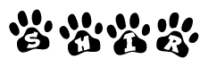 The image shows a series of animal paw prints arranged in a horizontal line. Each paw print contains a letter, and together they spell out the word Shir.