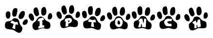 The image shows a row of animal paw prints, each containing a letter. The letters spell out the word Tiptonch within the paw prints.
