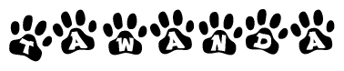 The image shows a series of animal paw prints arranged in a horizontal line. Each paw print contains a letter, and together they spell out the word Tawanda.
