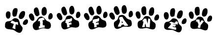The image shows a series of animal paw prints arranged horizontally. Within each paw print, there's a letter; together they spell Tiffaney