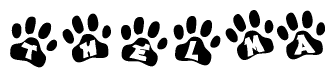 The image shows a series of animal paw prints arranged in a horizontal line. Each paw print contains a letter, and together they spell out the word Thelma.