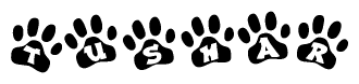 The image shows a series of animal paw prints arranged horizontally. Within each paw print, there's a letter; together they spell Tushar