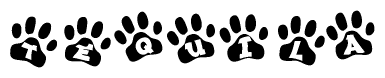 The image shows a series of animal paw prints arranged in a horizontal line. Each paw print contains a letter, and together they spell out the word Tequila.