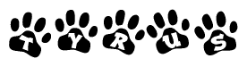 The image shows a row of animal paw prints, each containing a letter. The letters spell out the word Tyrus within the paw prints.