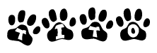The image shows a series of animal paw prints arranged in a horizontal line. Each paw print contains a letter, and together they spell out the word Tito.