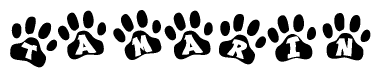 The image shows a row of animal paw prints, each containing a letter. The letters spell out the word Tamarin within the paw prints.