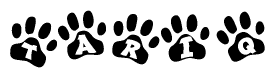 The image shows a row of animal paw prints, each containing a letter. The letters spell out the word Tariq within the paw prints.