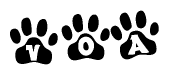 The image shows a series of animal paw prints arranged horizontally. Within each paw print, there's a letter; together they spell Voa