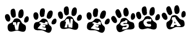 The image shows a row of animal paw prints, each containing a letter. The letters spell out the word Venesca within the paw prints.