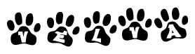 The image shows a series of animal paw prints arranged horizontally. Within each paw print, there's a letter; together they spell Velva