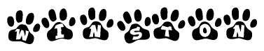 The image shows a series of animal paw prints arranged in a horizontal line. Each paw print contains a letter, and together they spell out the word Winston.