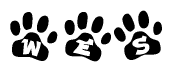 The image shows a series of animal paw prints arranged horizontally. Within each paw print, there's a letter; together they spell Wes
