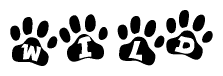 The image shows a series of animal paw prints arranged in a horizontal line. Each paw print contains a letter, and together they spell out the word Wild.