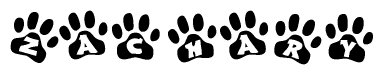 The image shows a series of animal paw prints arranged in a horizontal line. Each paw print contains a letter, and together they spell out the word Zachary.