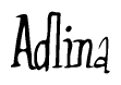 The image is a stylized text or script that reads 'Adlina' in a cursive or calligraphic font.