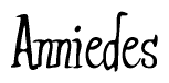 The image is of the word Anniedes stylized in a cursive script.