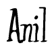 The image is a stylized text or script that reads 'Anil' in a cursive or calligraphic font.