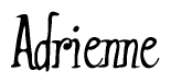 The image is of the word Adrienne stylized in a cursive script.
