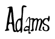 The image is of the word Adams stylized in a cursive script.