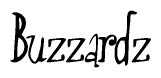 The image is a stylized text or script that reads 'Buzzardz' in a cursive or calligraphic font.