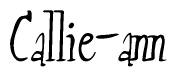 The image is of the word Callie-ann stylized in a cursive script.