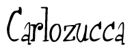 The image is of the word Carlozucca stylized in a cursive script.