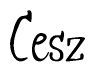 The image contains the word 'Cesz' written in a cursive, stylized font.