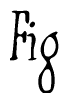 The image is of the word Fig stylized in a cursive script.