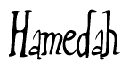 The image is of the word Hamedah stylized in a cursive script.
