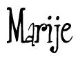 The image is a stylized text or script that reads 'Marije' in a cursive or calligraphic font.