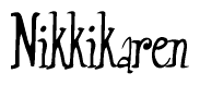 The image is of the word Nikkikaren stylized in a cursive script.