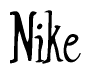 The image is of the word Nike stylized in a cursive script.
