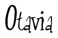 The image is a stylized text or script that reads 'Otavia' in a cursive or calligraphic font.